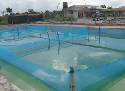 Máquina de confecção de malhas da rede de pesca do oceano, únicas máquinas da fabricação da rede de pesca da barra da agulha